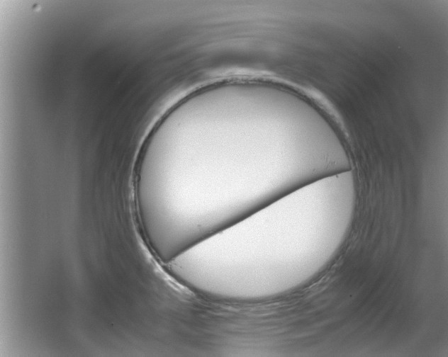 X0000064771287200602101044