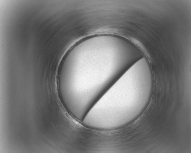 X0000064771288200602101044