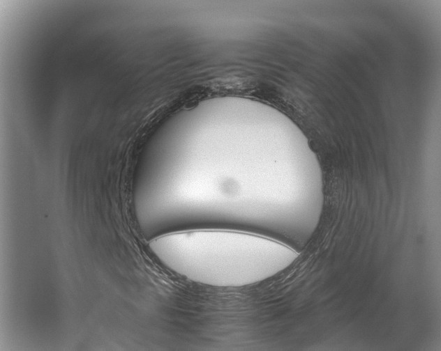 X0000064771297200602101043