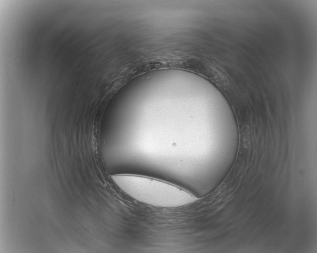 X0000064771298200602101043