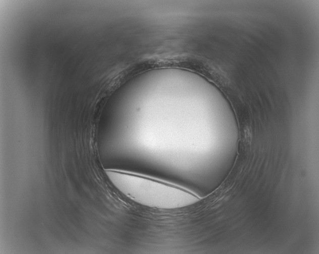 X0000064771300200602101043