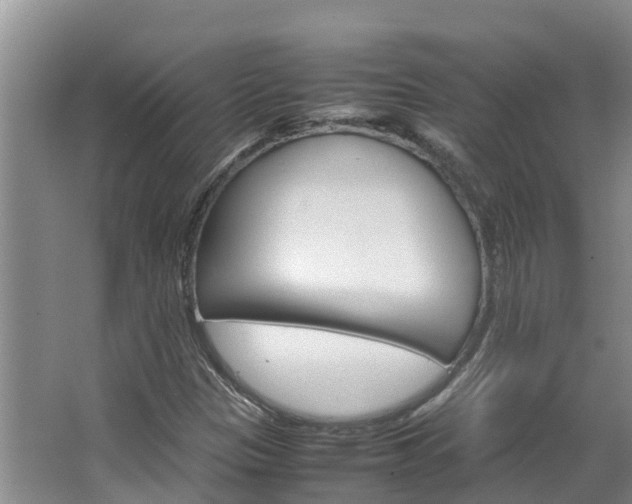 X0000064771305200602101043