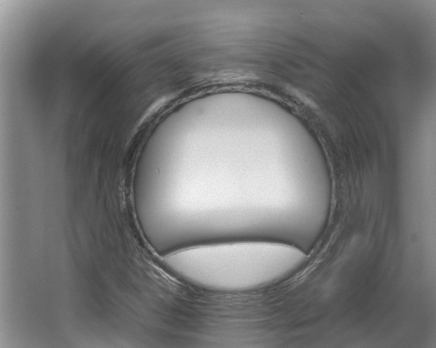 X0000064771306200602101043