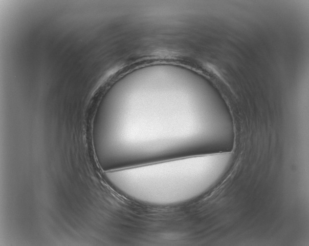 X0000064771307200602101043