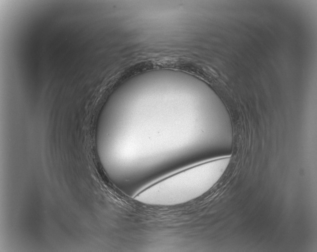 X0000064771345200602101043