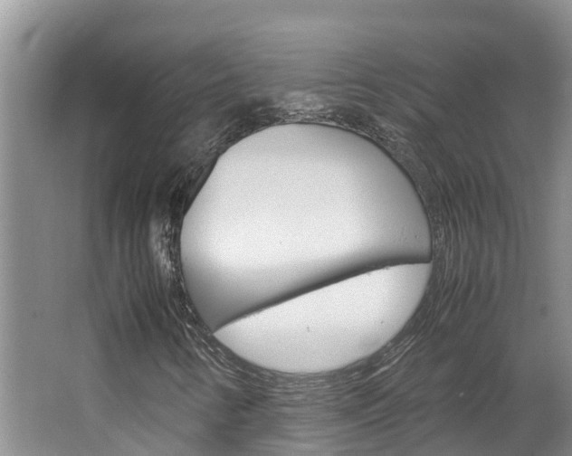 X0000064771346200602101043