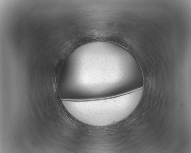 X0000064771348200602101043