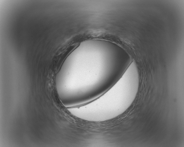 X0000064771349200602101043