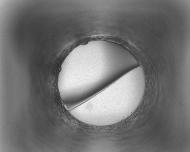 X0000064771351200602101043