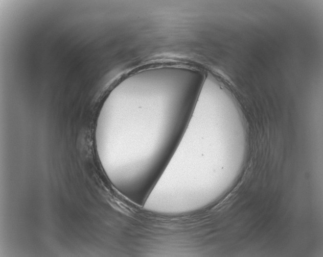X0000064771355200602101043