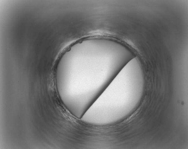 X0000064771358200602101043