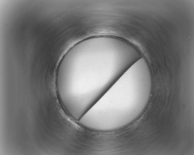 X0000064771374200602101042