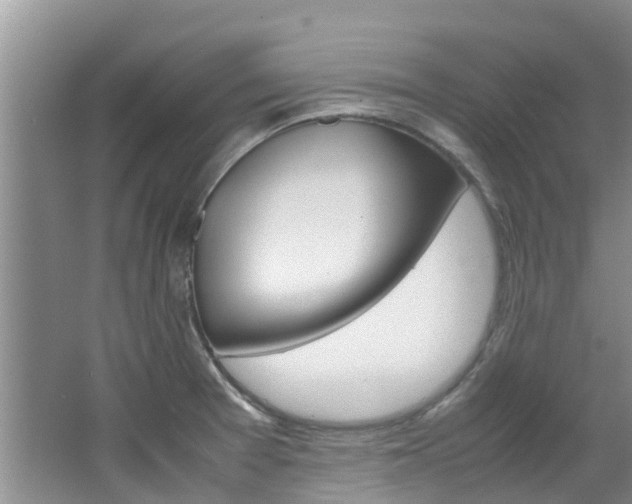 X0000064771377200602101042