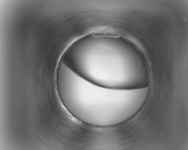 X0000064771392200602101042