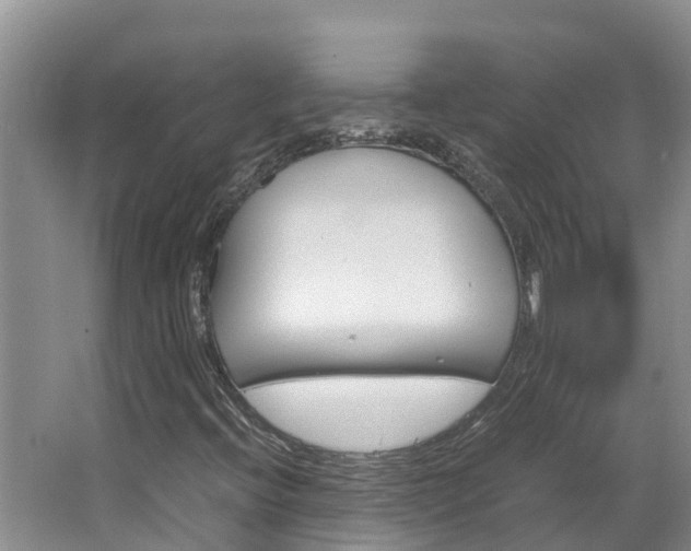 X0000064771396200602101041