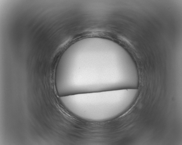 X0000064771403200602101041