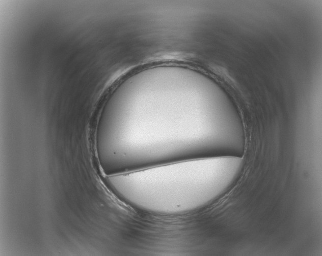 X0000064771404200602101041