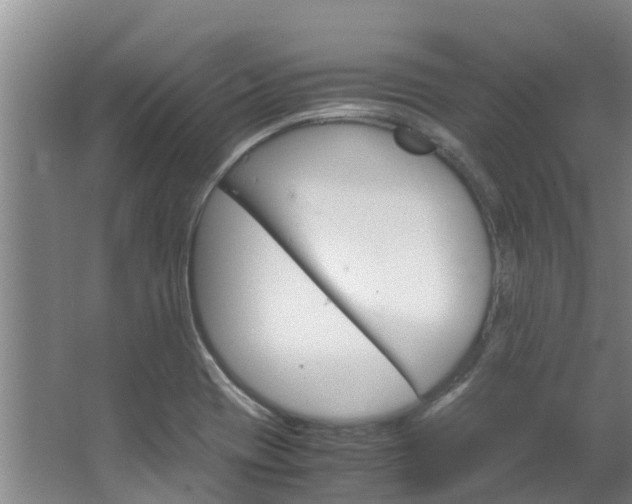 X0000064771417200602101042