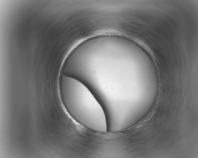 X0000064771440200602101042