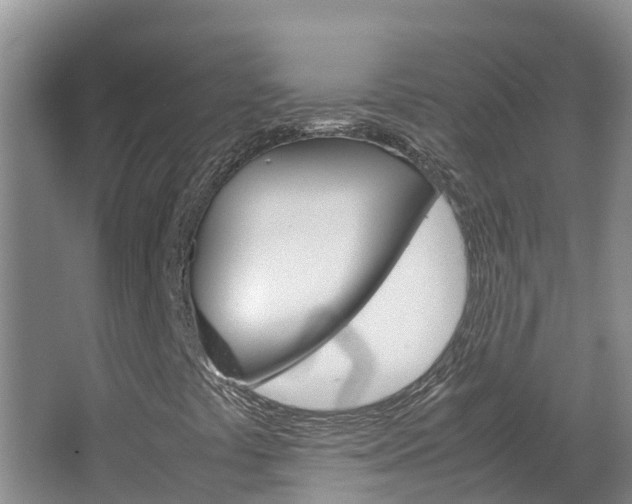 X0000064771441200602101041