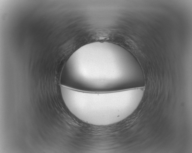 X0000064771442200602101041