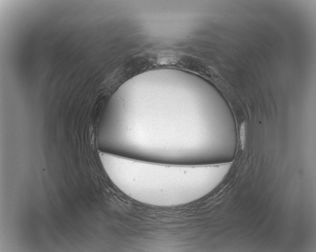 X0000064771443200602101041