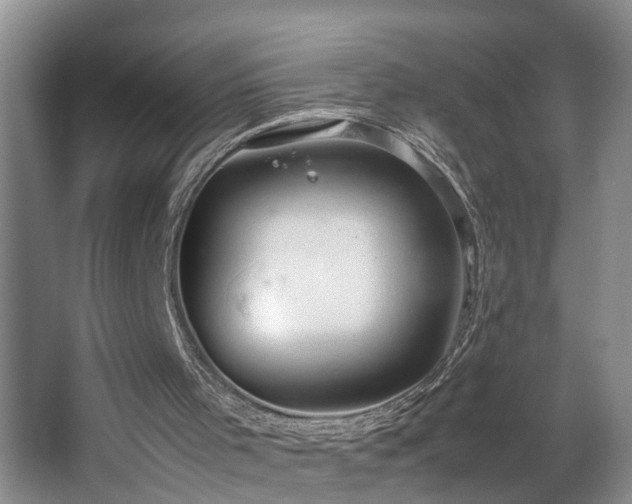 X0000064770001200602101301