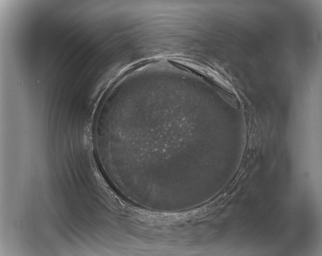 X0000064770002200602101301