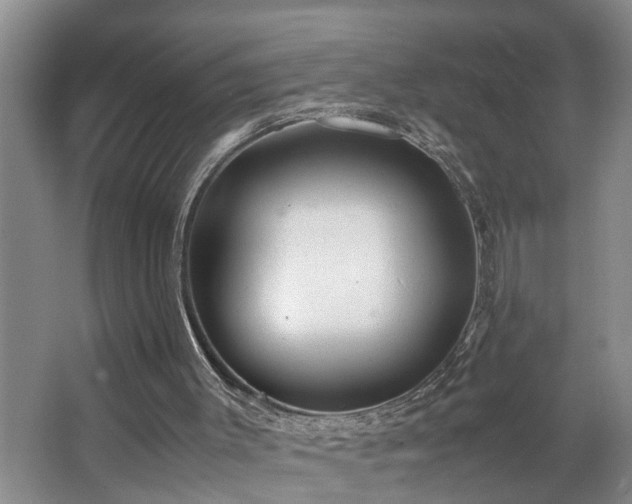 X0000064770003200602101301