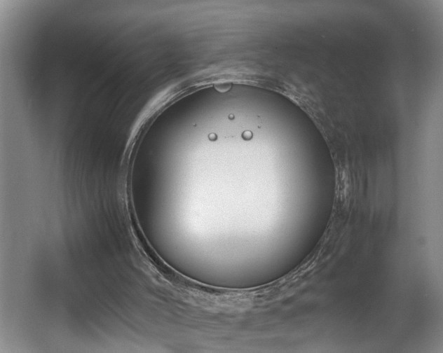 X0000064770004200602101301