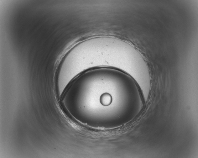 X0000064770005200602101301