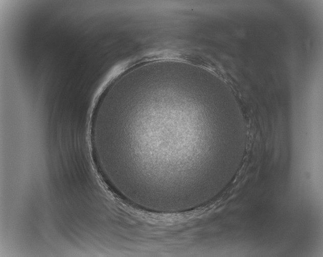 X0000064770006200602101301