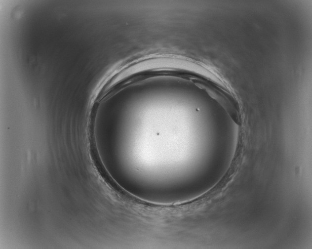 X0000064770007200602101301