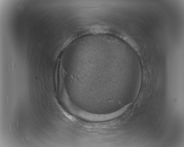 X0000064770009200602101301