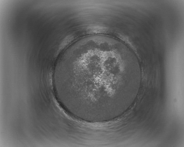 X0000064770010200602101301