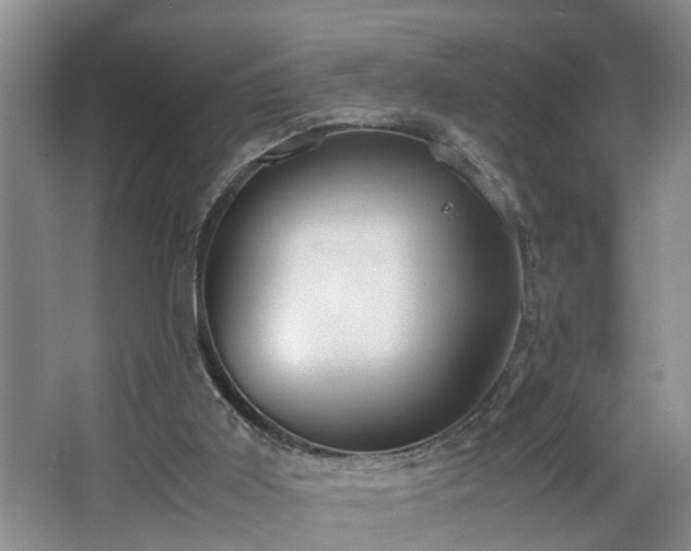 X0000064770011200602101301