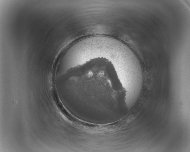 X0000064770012200602101301