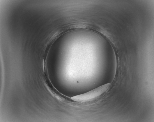 X0000064770013200602101301