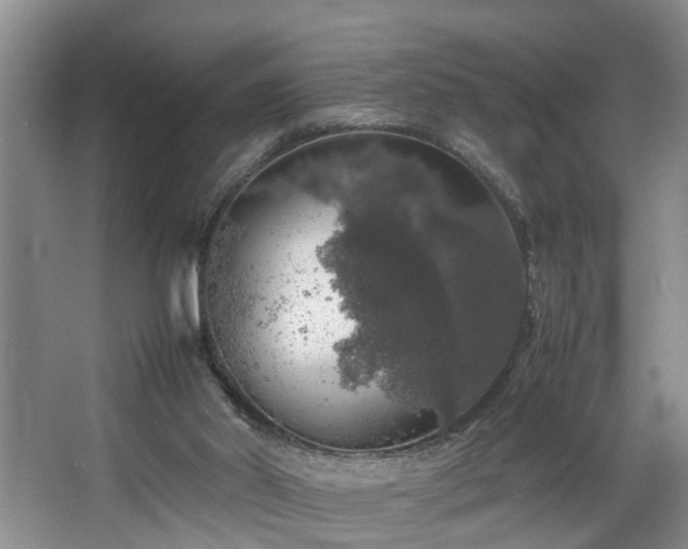 X0000064770014200602101301