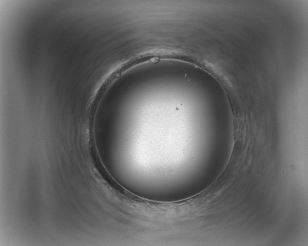 X0000064770015200602101301