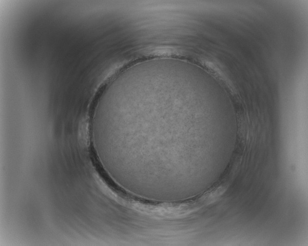 X0000064770016200602101301