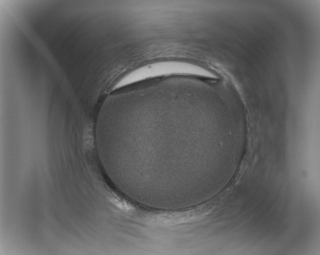 X0000064770017200602101301