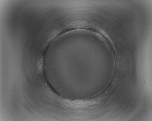 X0000064770018200602101301