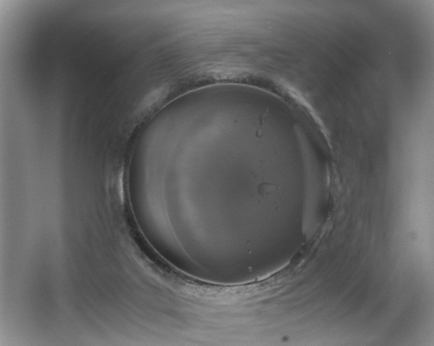 X0000064770019200602101301