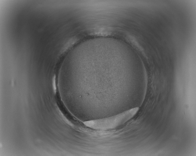 X0000064770020200602101301