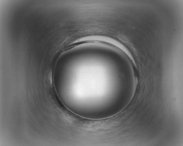 X0000064770021200602101301