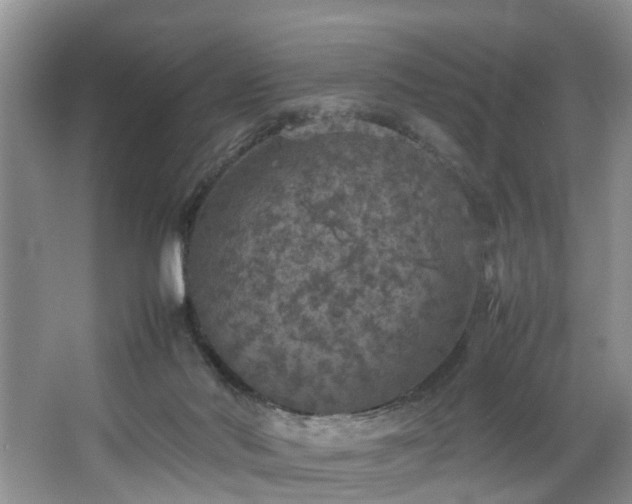 X0000064770022200602101301