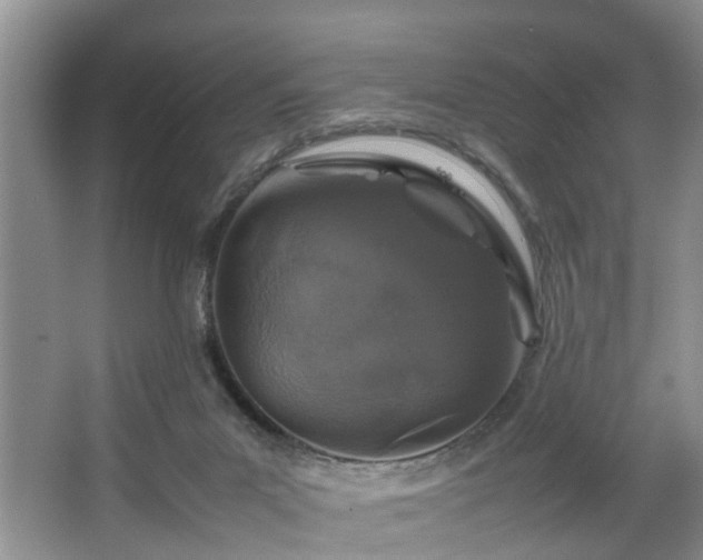 X0000064770023200602101301