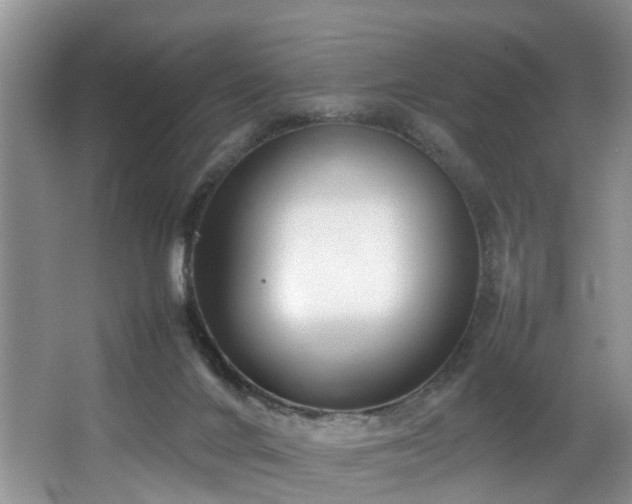 X0000064770024200602101301