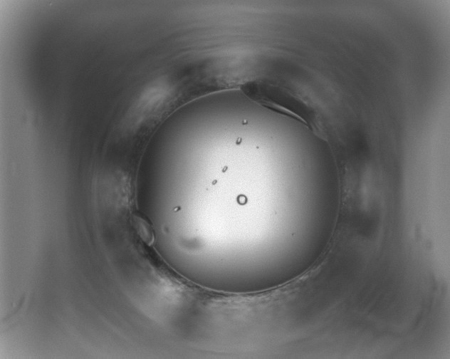 X0000064770025200602101301